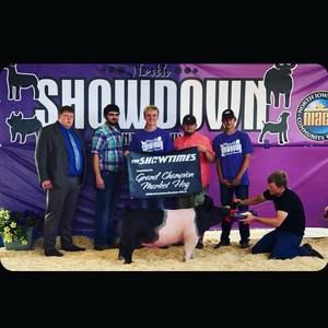 Meet your Posher, Nick